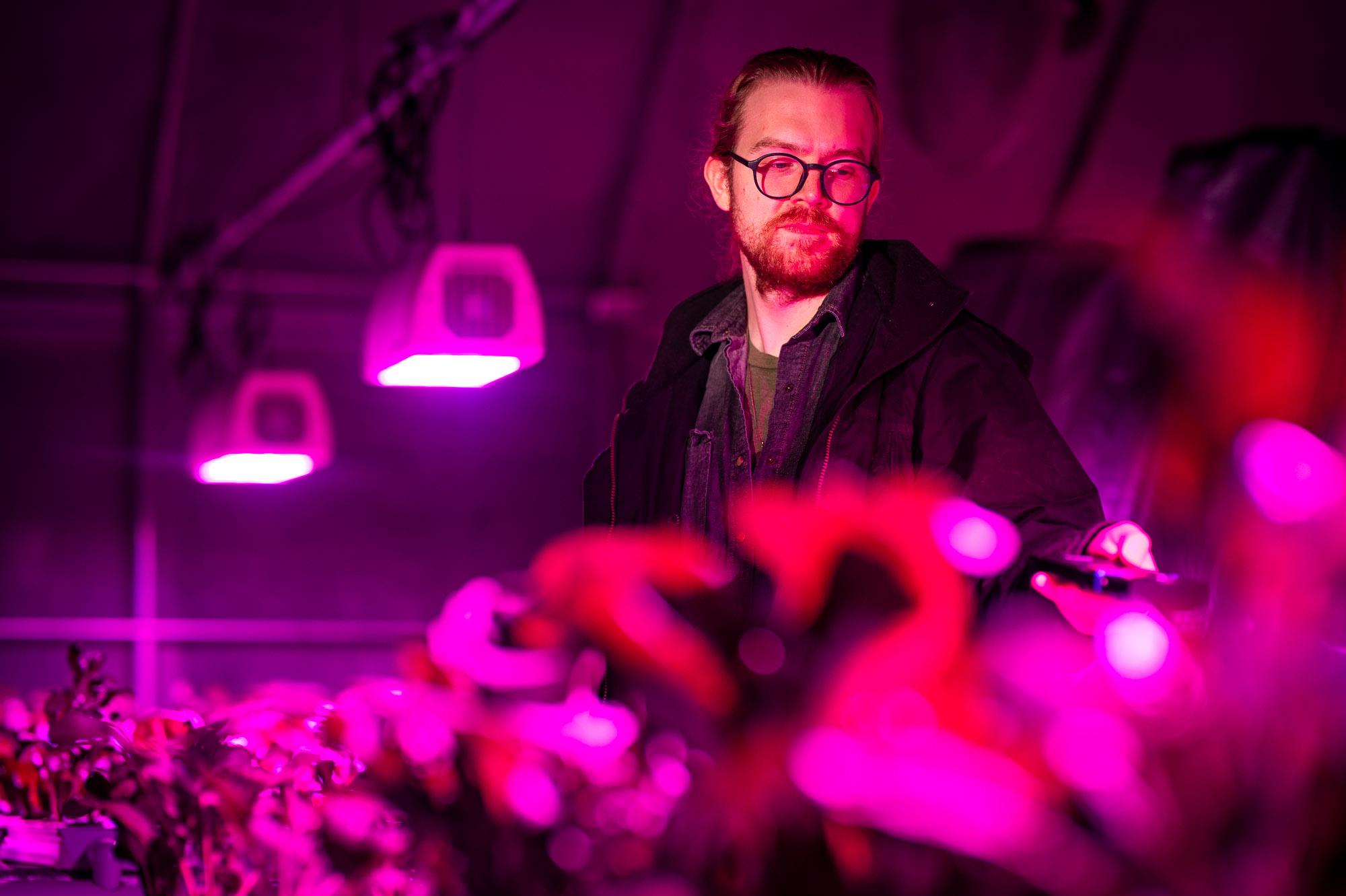 A researcher at East Texas A&M University examines plants under specialized LED grow lights in a controlled environment, studying innovative indoor farming techniques.